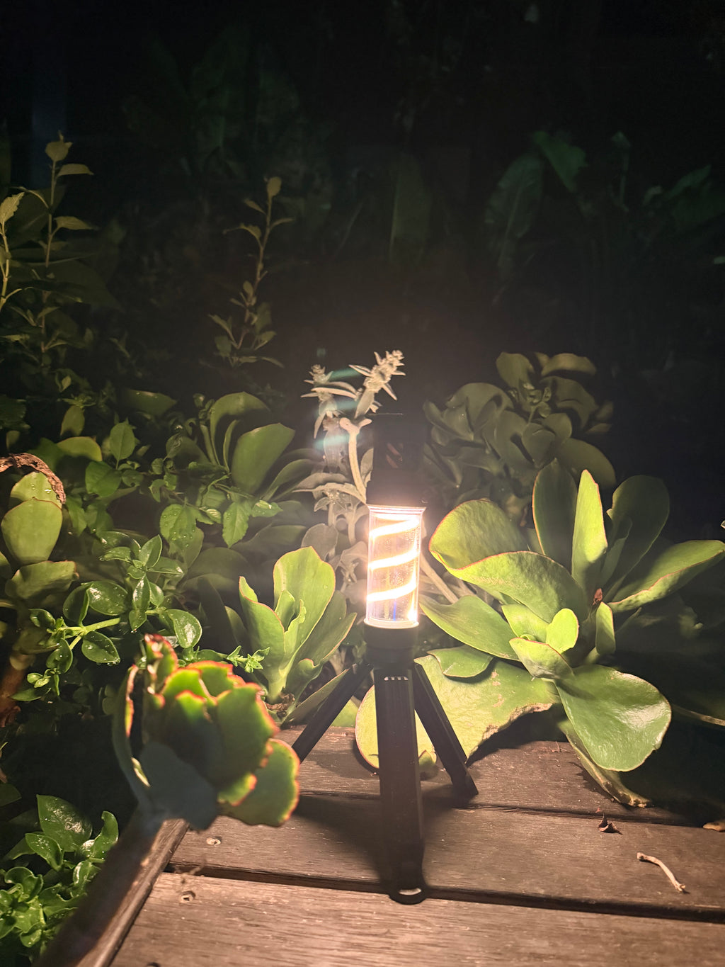 The Dirty Flash and Repel