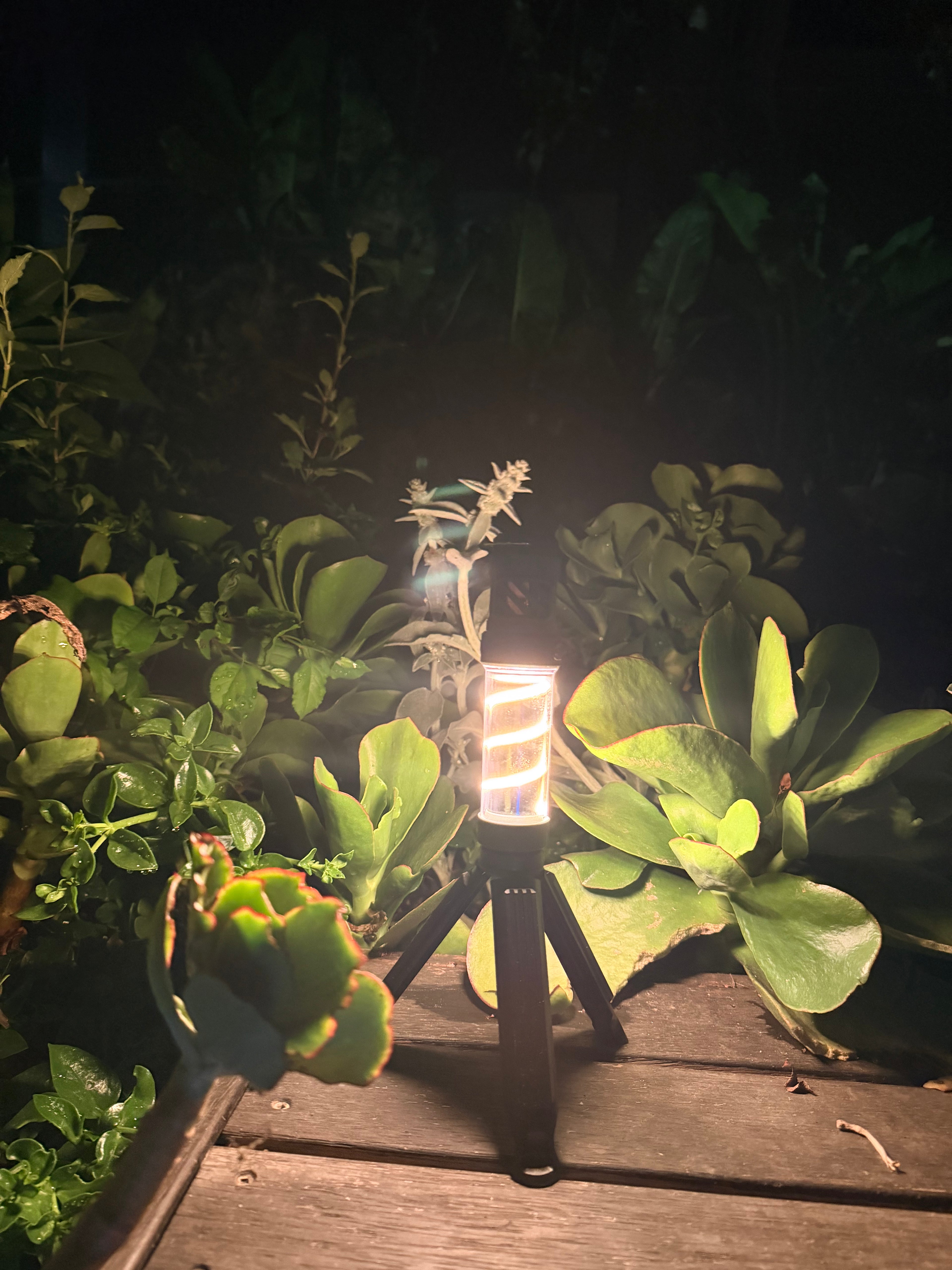 The Dirty Flash and Repel