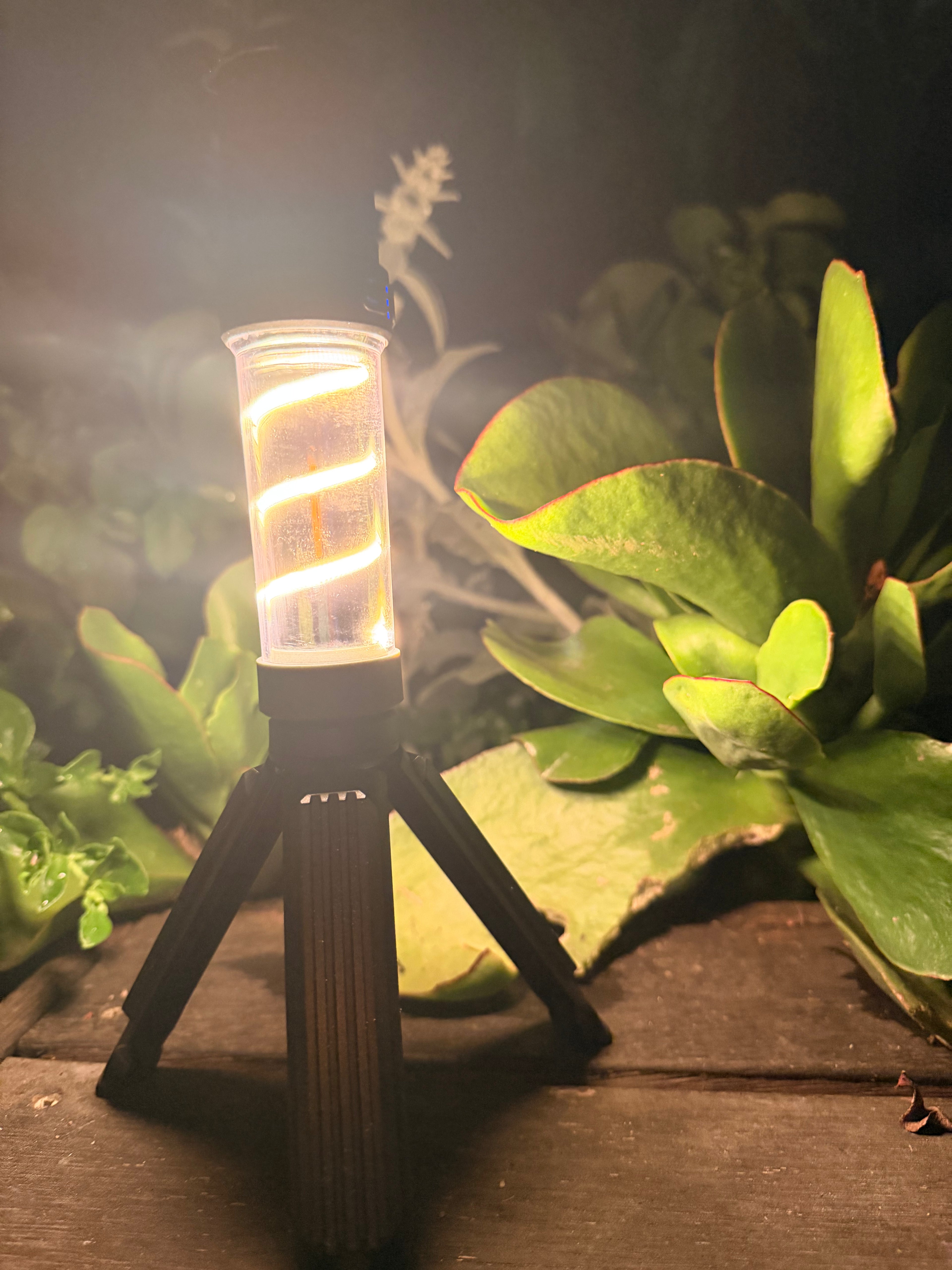 The Dirty Flash and Repel